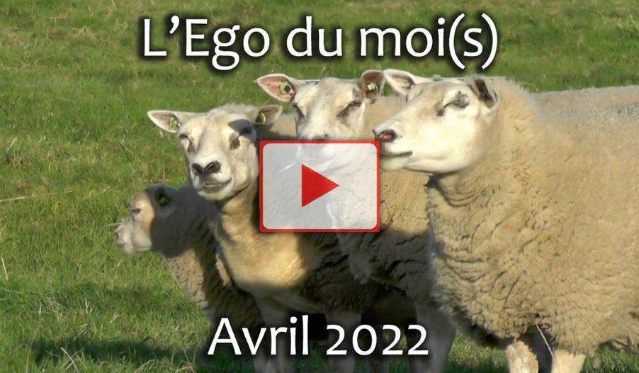 Vidéo de l'Ego du moi(s) janvier 2022