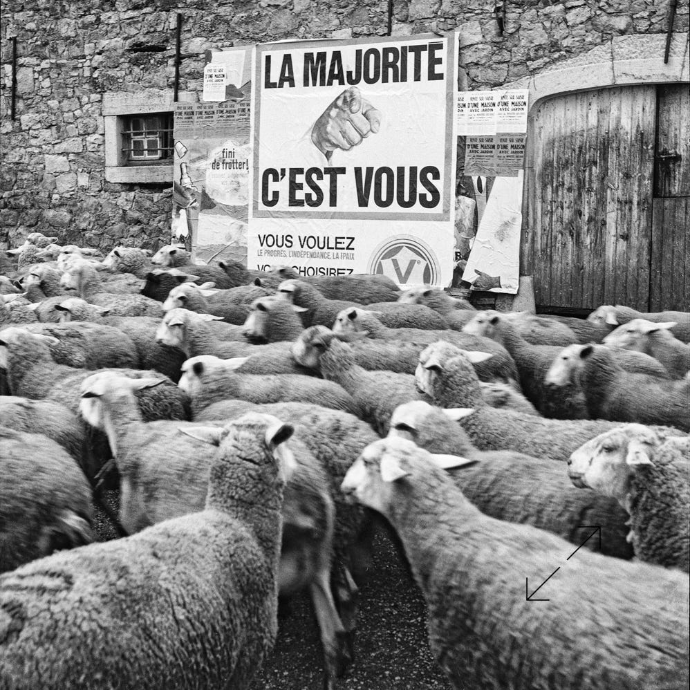 Photo Didier Leplat