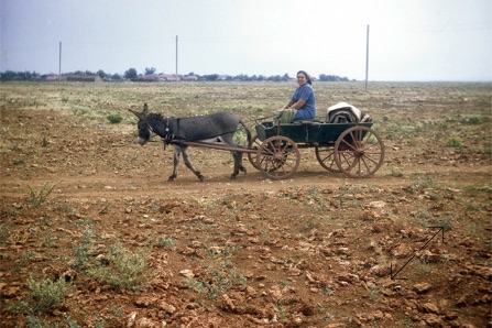 Le travail des champs en Bulgarie en 1970 - Photo Didier Leplat