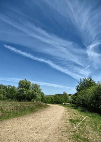 Photo François Lebert